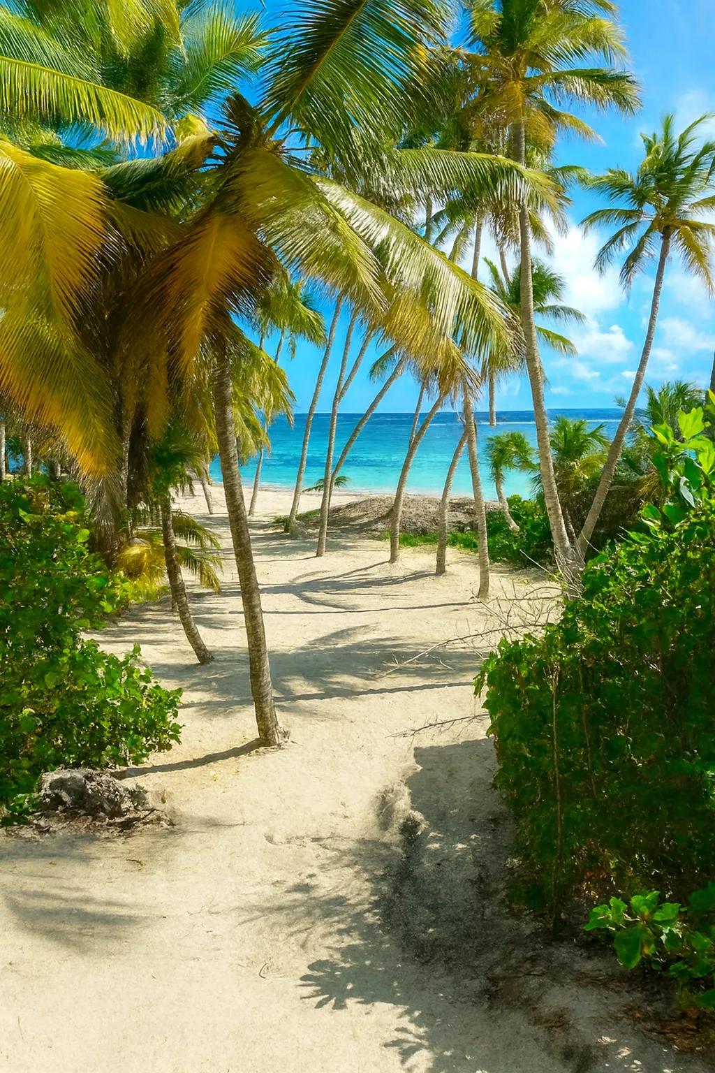 Anse Michel Cap Chevalier